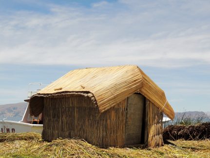 Reed Hut